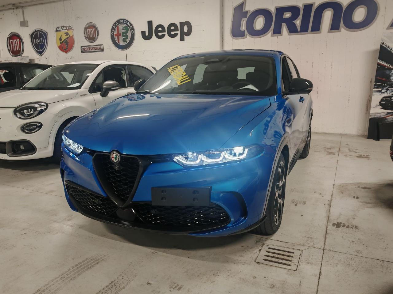 Alfa Romeo Alfa Romeo Tonale usata 18
