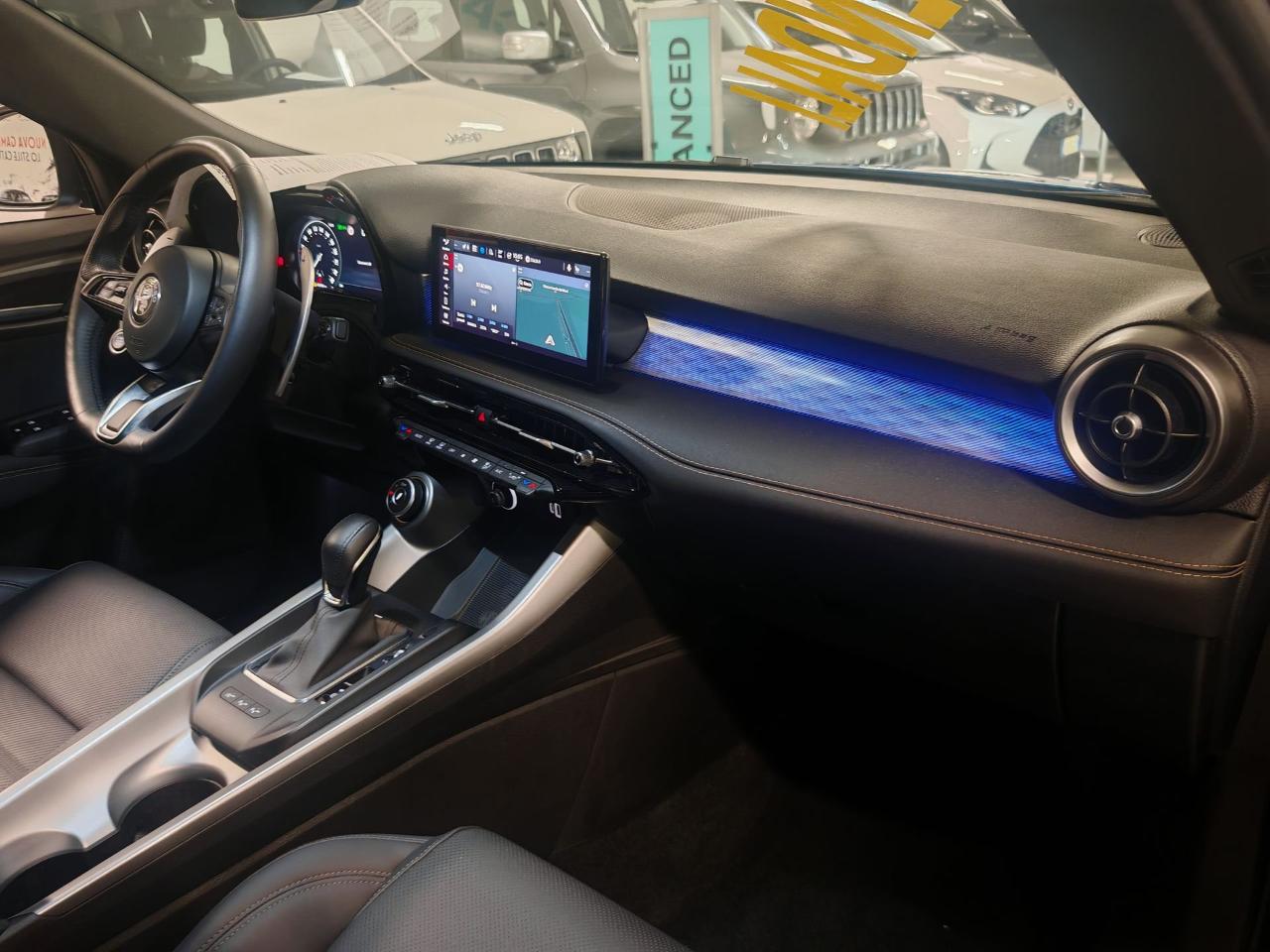 Alfa Romeo Alfa Romeo Tonale usata 20