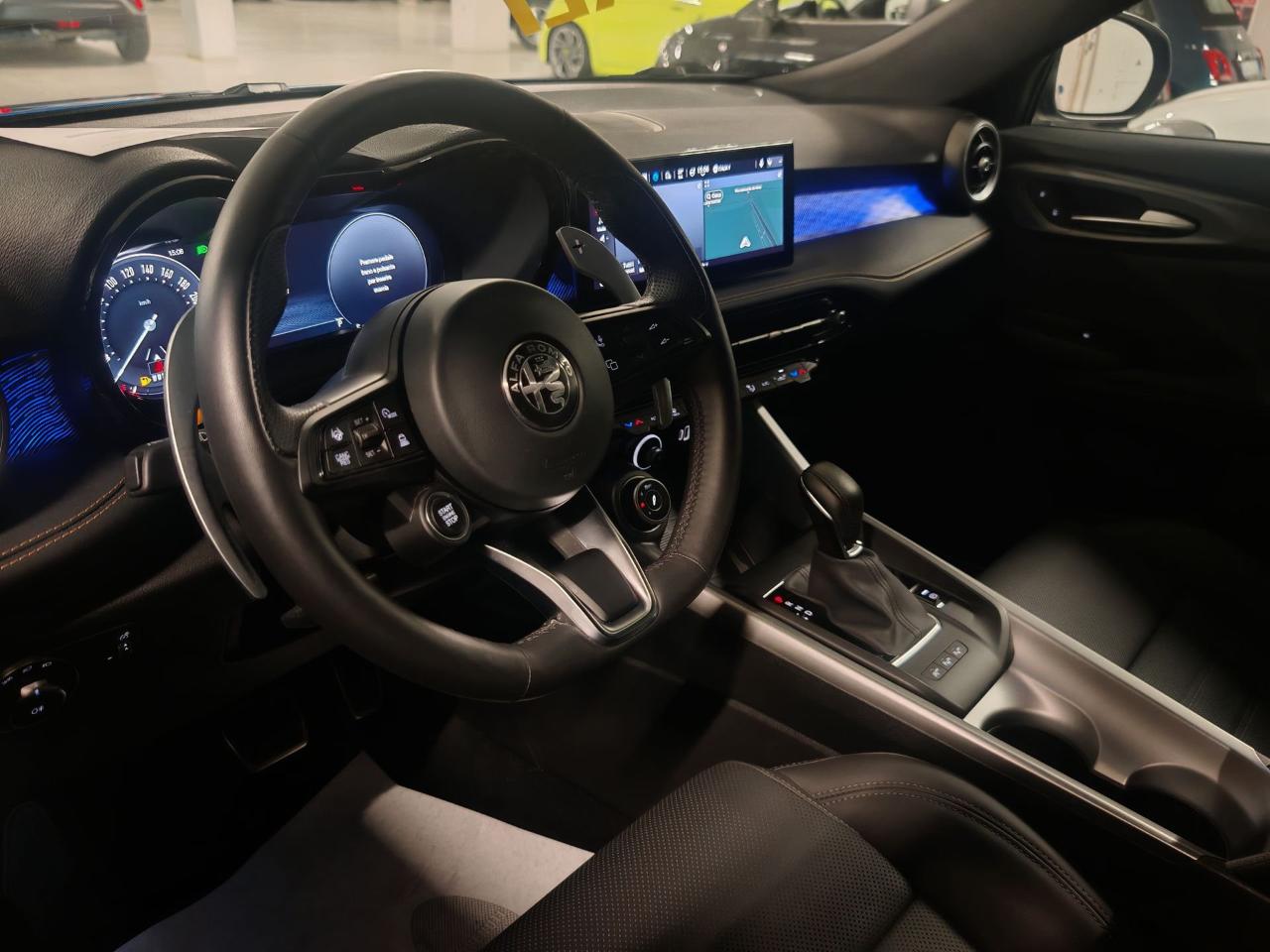 Alfa Romeo Alfa Romeo Tonale usata 21