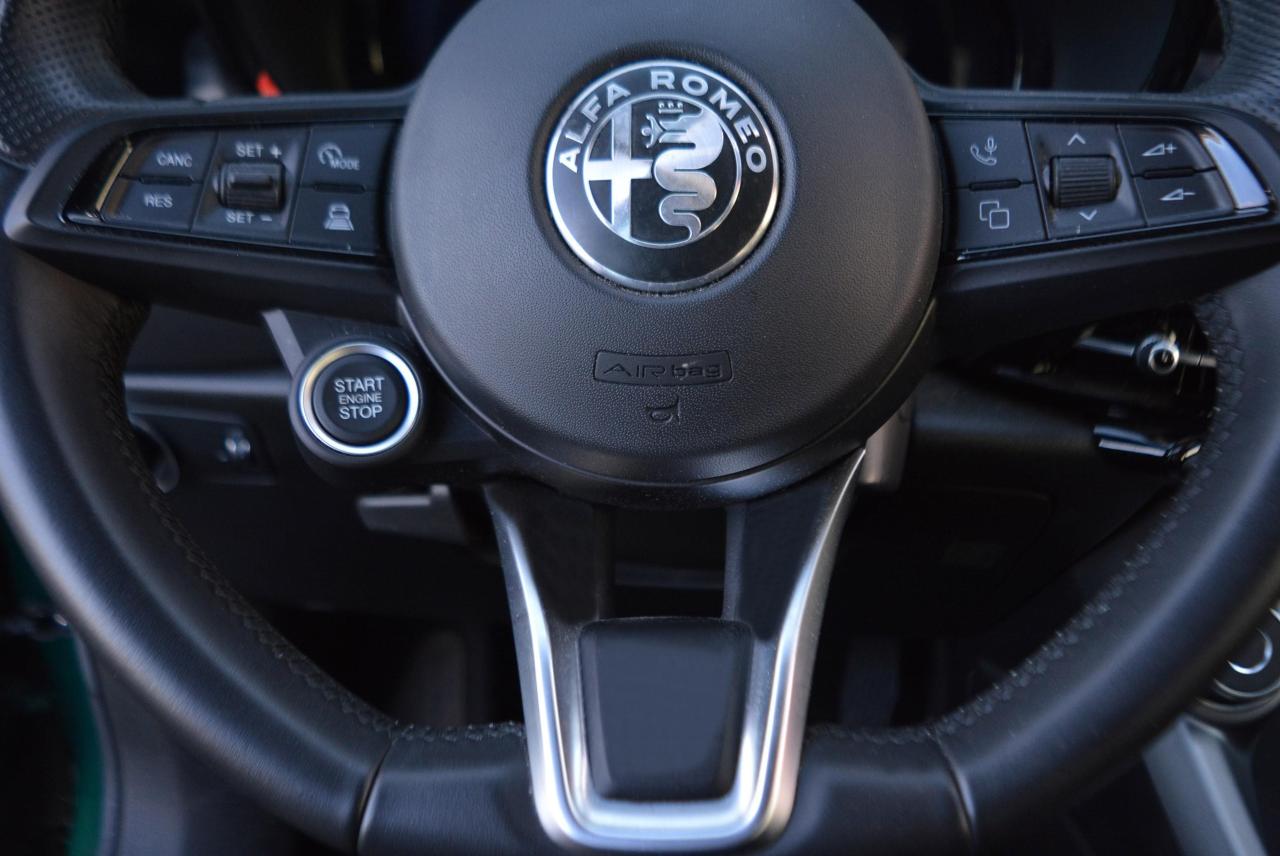 Alfa Romeo Alfa Romeo Tonale usata 7