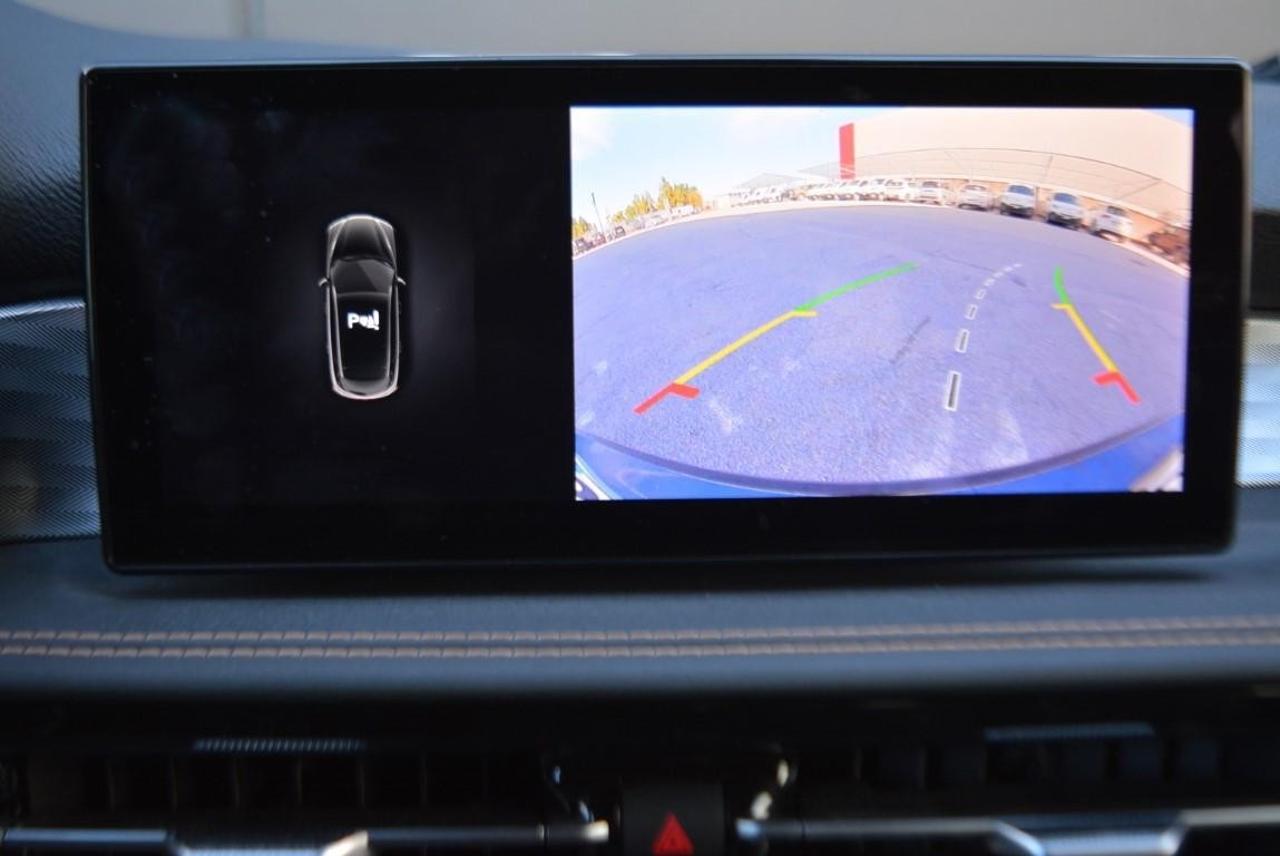 Alfa Romeo Alfa Romeo Tonale usata 12