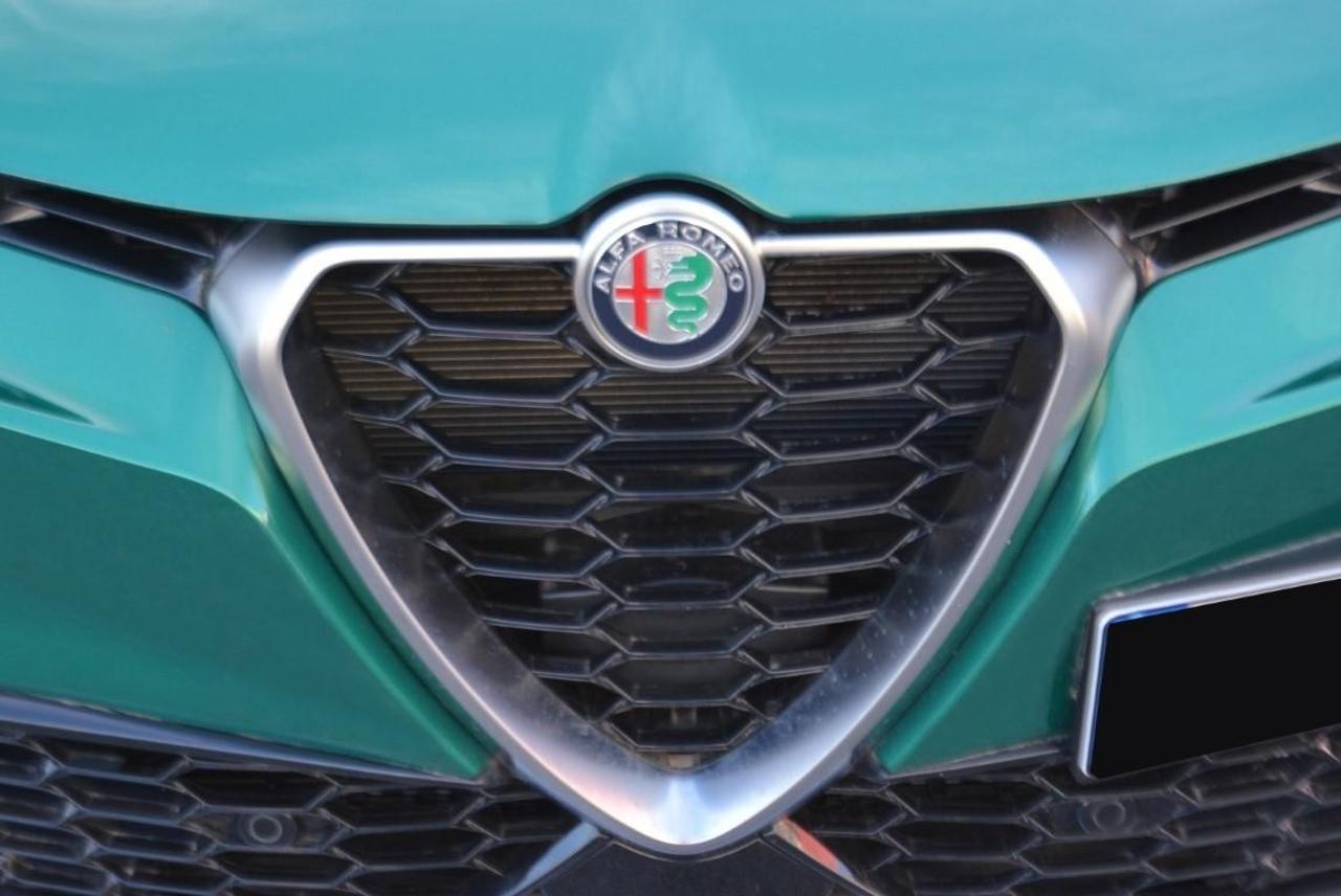 Alfa Romeo Alfa Romeo Tonale usata 13