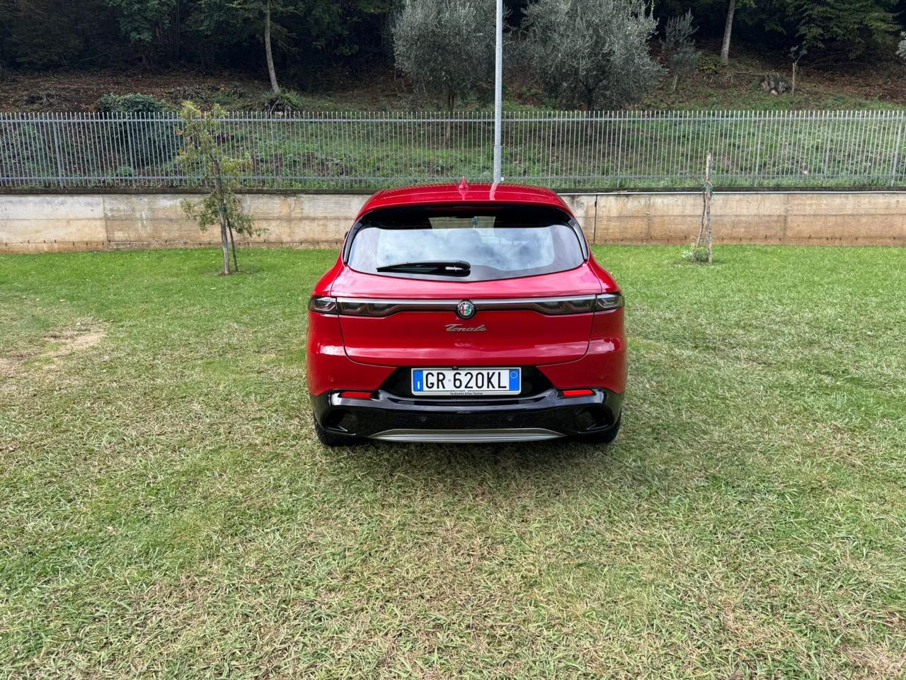 Alfa Romeo Alfa Romeo Tonale usata 2
