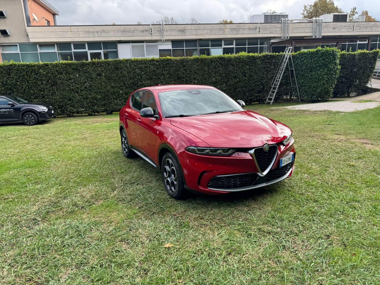 Alfa Romeo Alfa Romeo Tonale usata 11