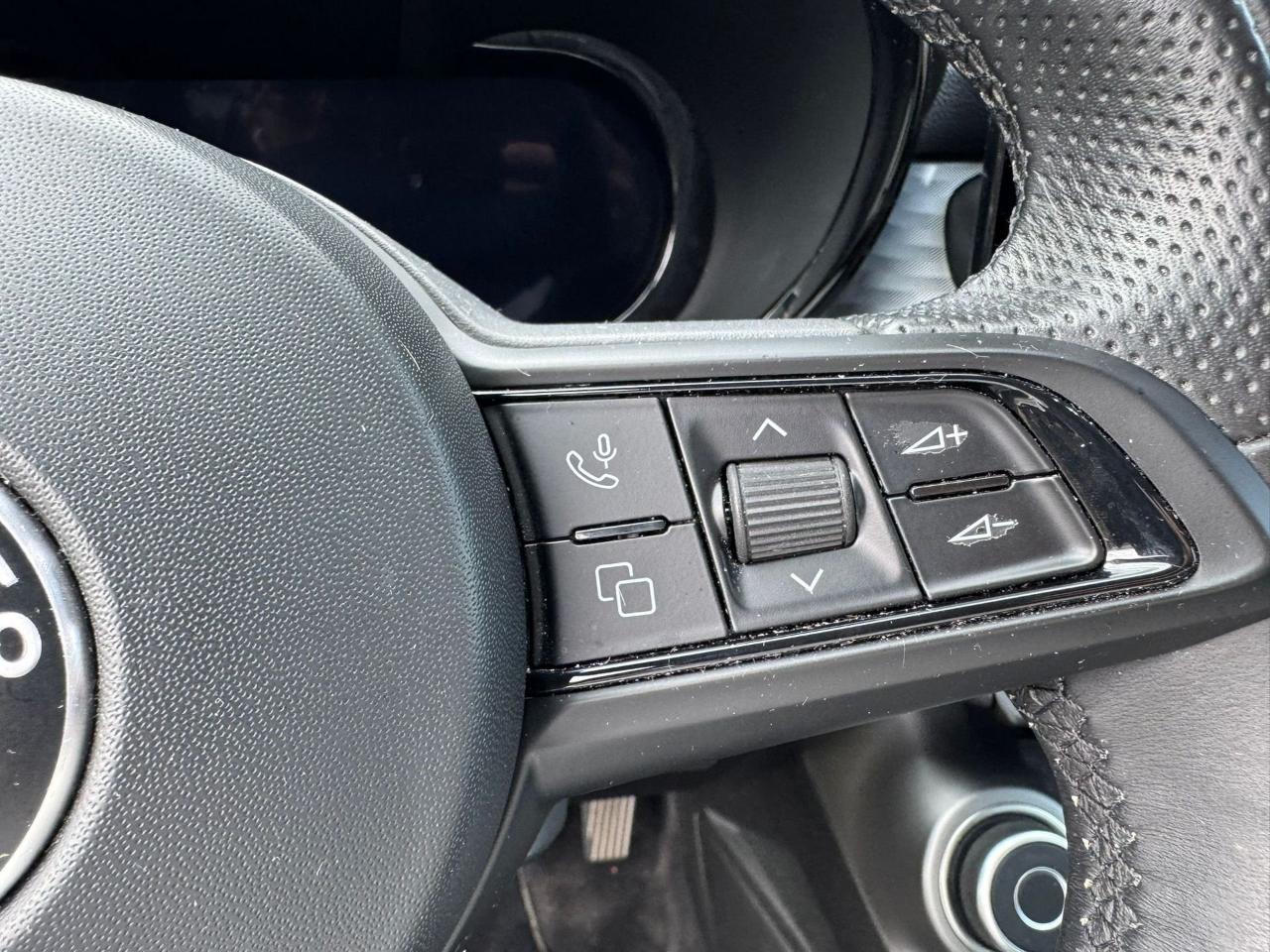 Alfa Romeo Alfa Romeo Tonale usata 15