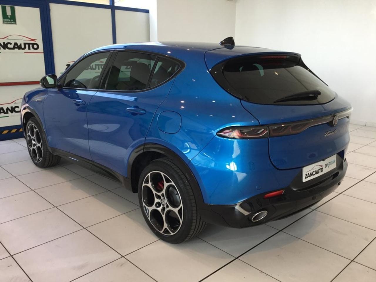 Alfa Romeo Alfa Romeo Tonale usata 12