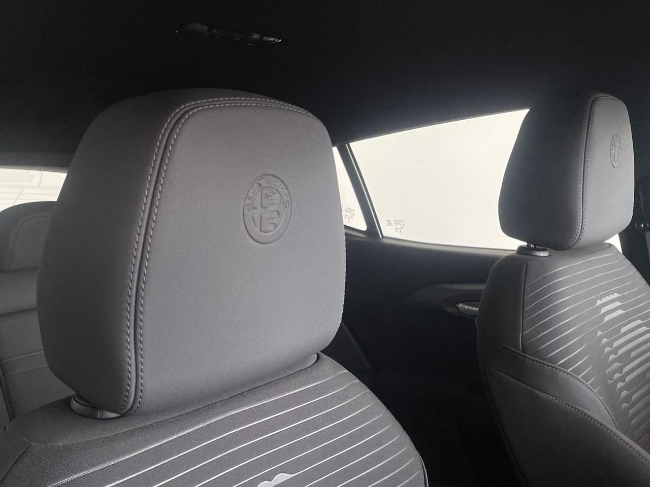 Alfa Romeo Alfa Romeo Tonale usata 12