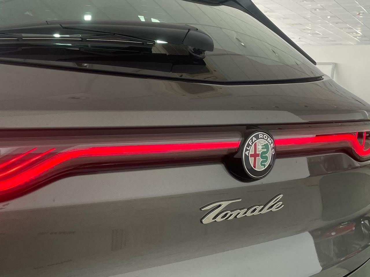 Alfa Romeo Alfa Romeo Tonale usata 13