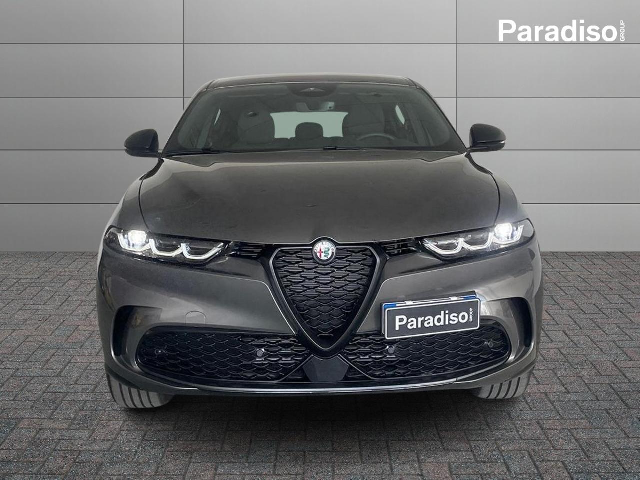Alfa Romeo Alfa Romeo Tonale usata 17