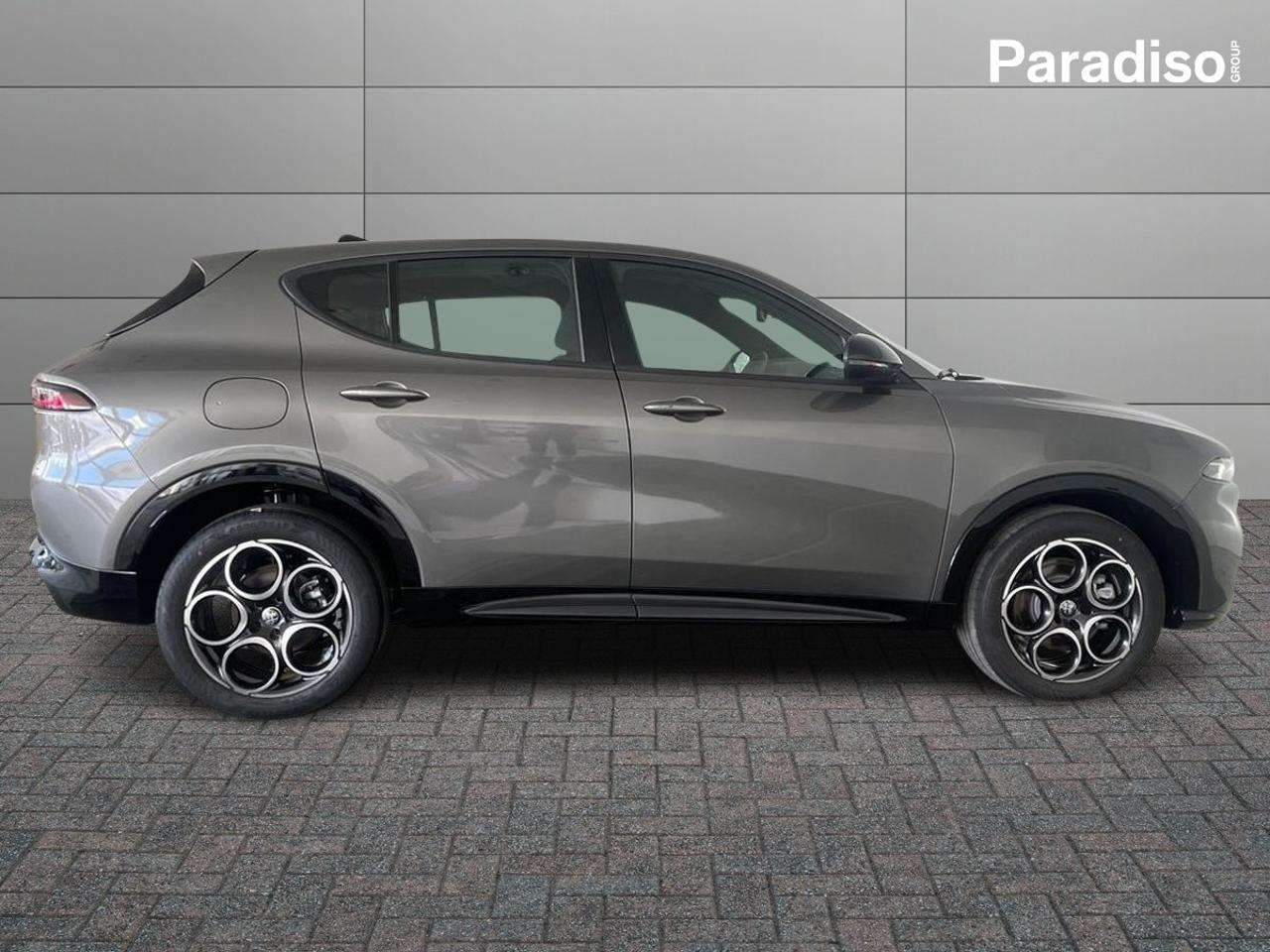 Alfa Romeo Alfa Romeo Tonale usata 19