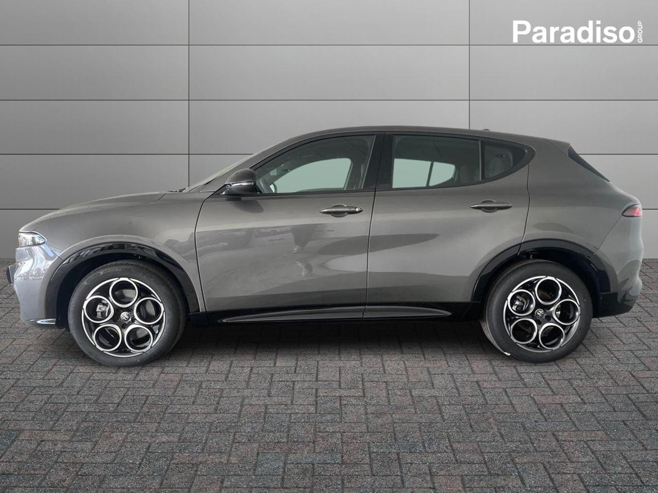 Alfa Romeo Alfa Romeo Tonale usata 20