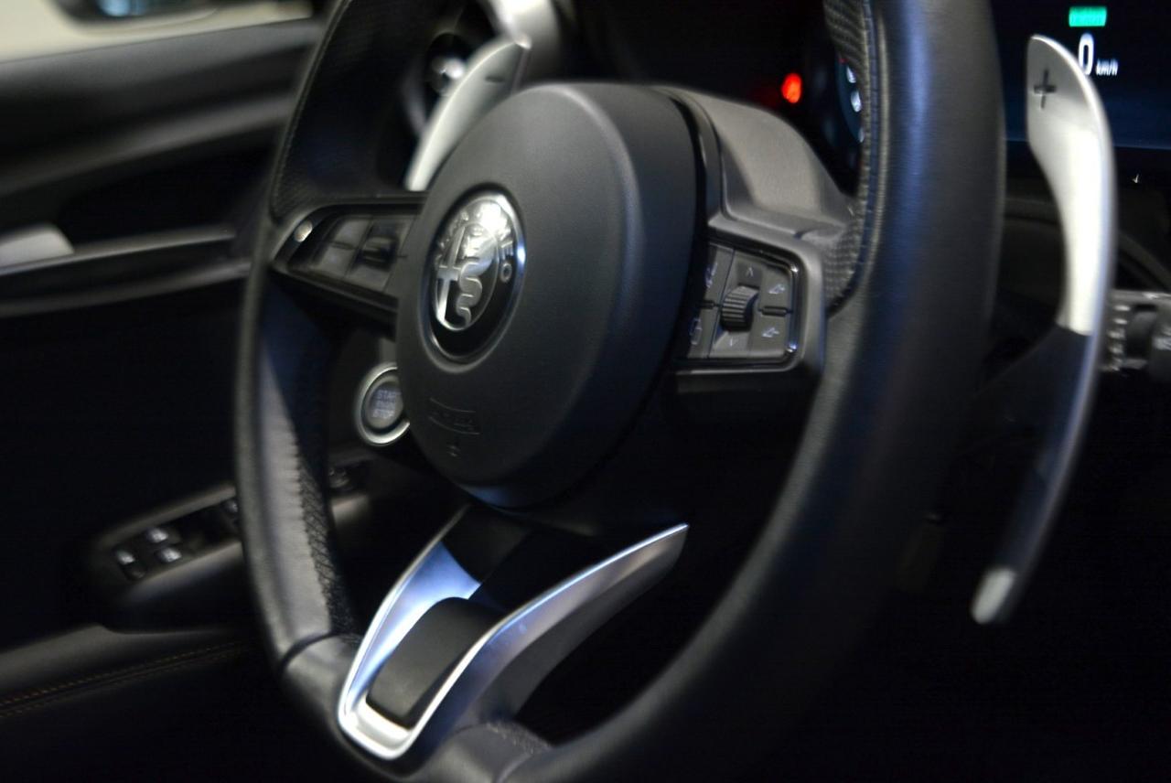 Alfa Romeo Alfa Romeo Tonale usata 7
