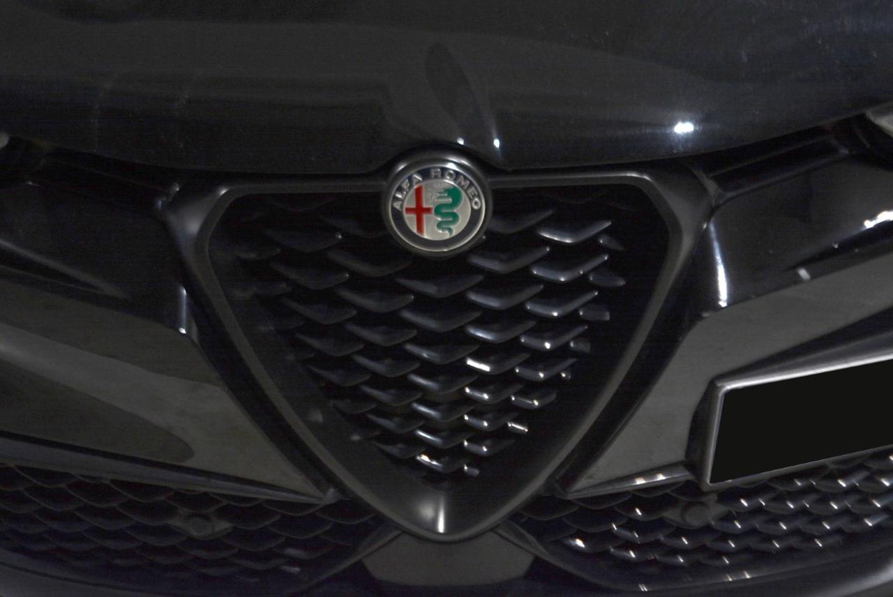 Alfa Romeo Alfa Romeo Tonale usata 13