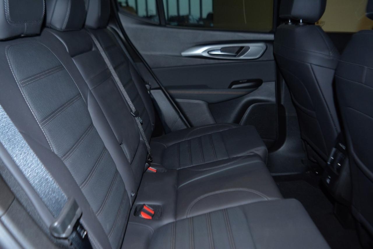 Alfa Romeo Alfa Romeo Tonale usata 21