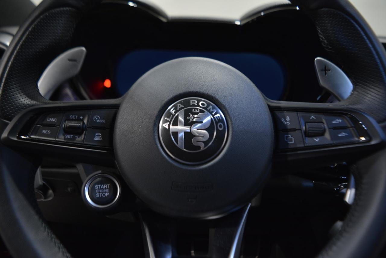 Alfa Romeo Alfa Romeo Tonale usata 7