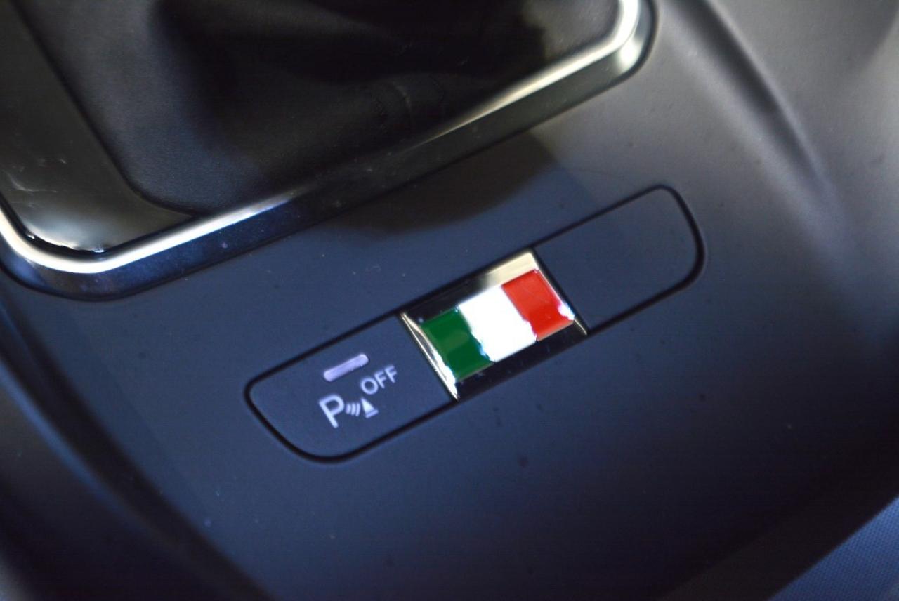 Alfa Romeo Alfa Romeo Tonale usata 9