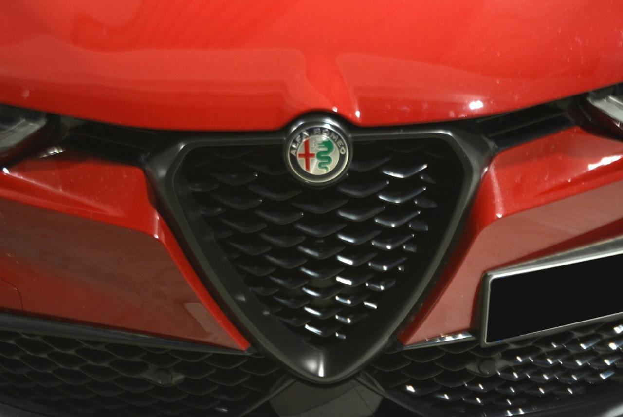 Alfa Romeo Alfa Romeo Tonale usata 13