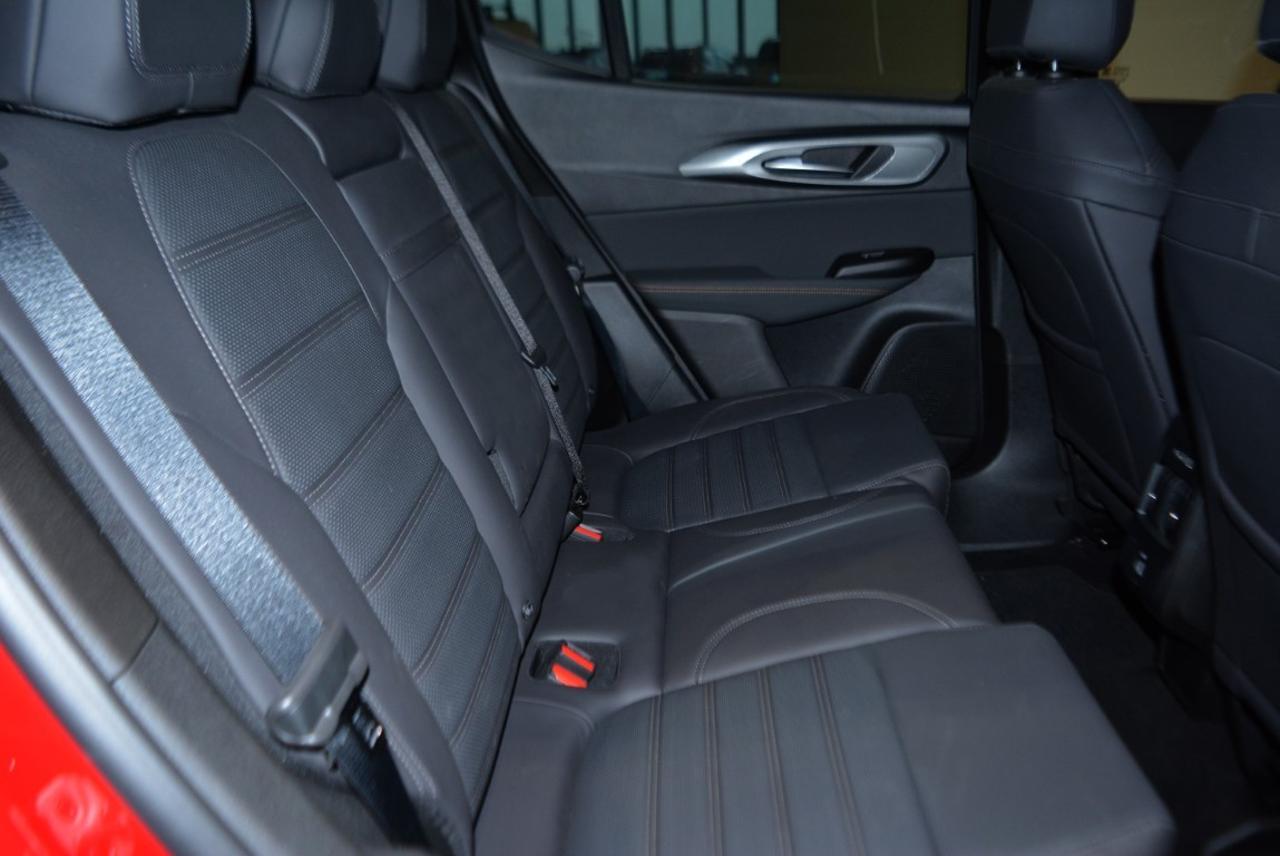 Alfa Romeo Alfa Romeo Tonale usata 21