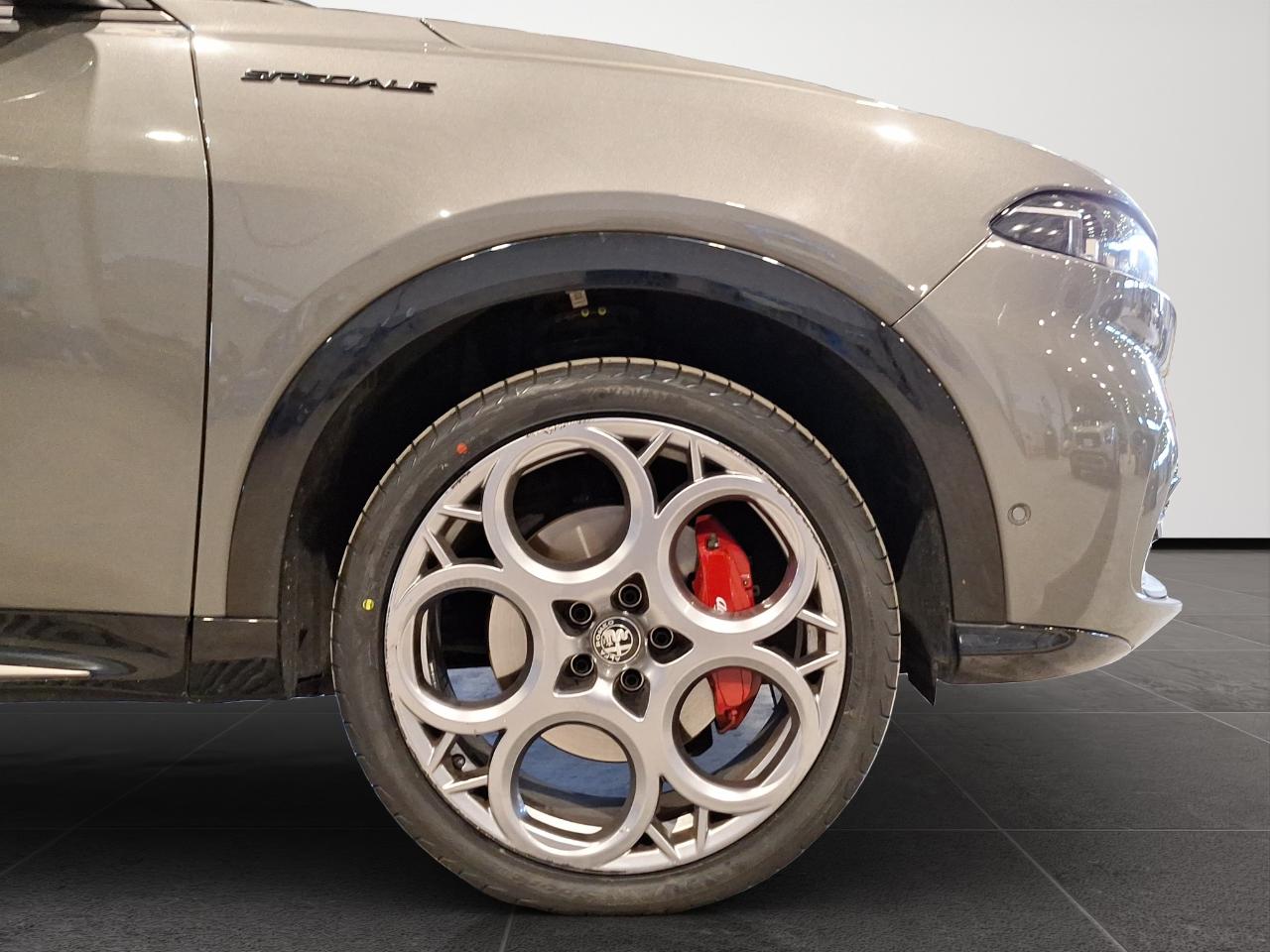 Alfa Romeo Alfa Romeo Tonale usata 14