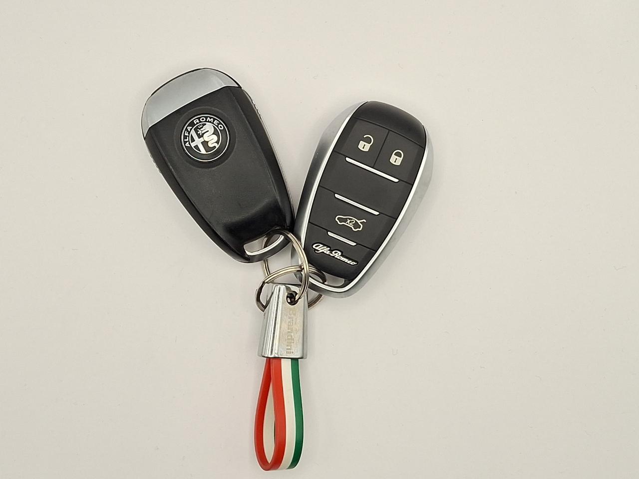 Alfa Romeo Alfa Romeo Tonale usata 15