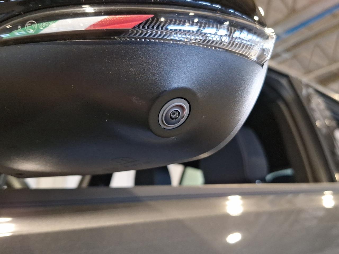 Alfa Romeo Alfa Romeo Tonale usata 19