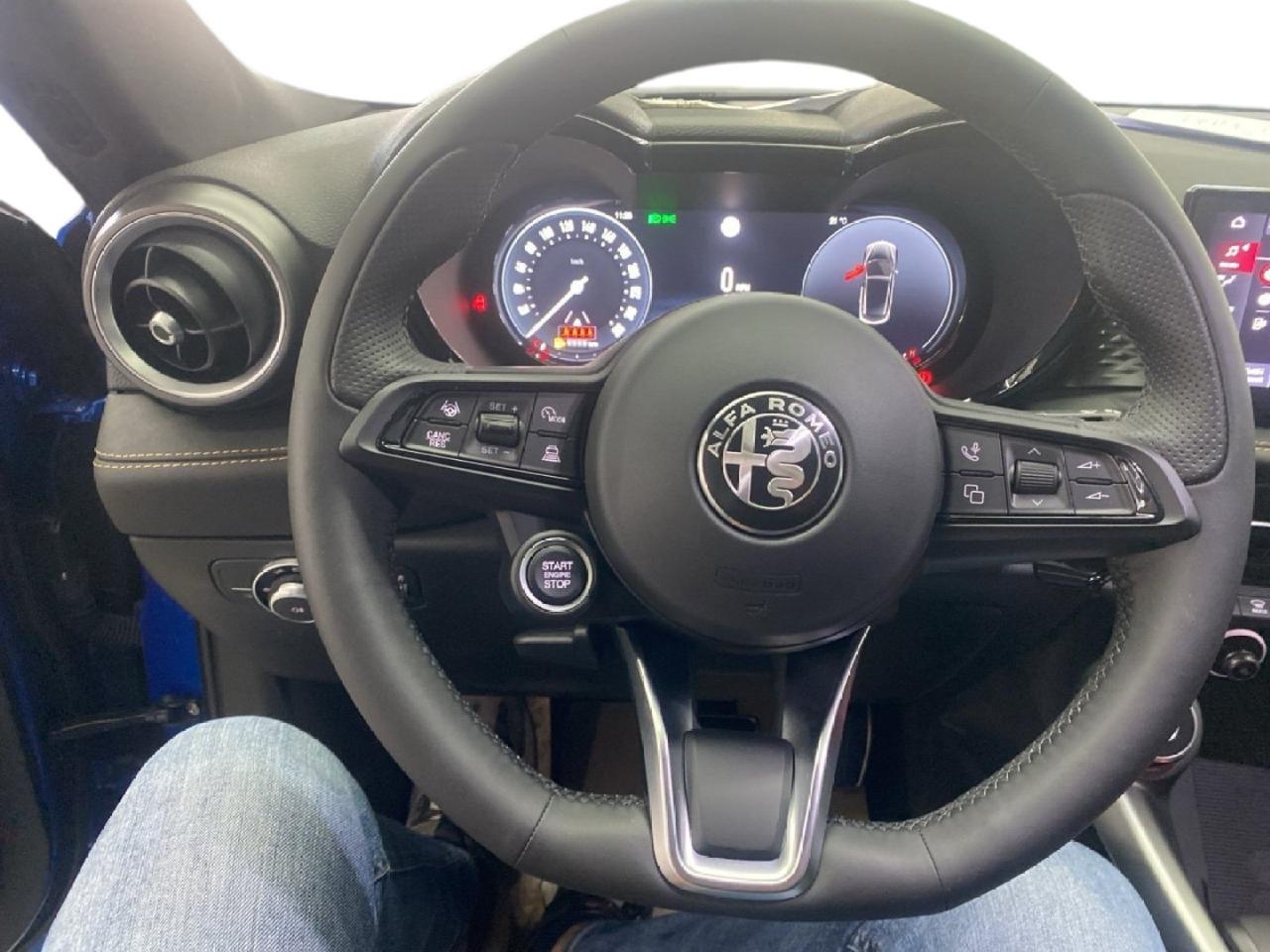 Alfa Romeo Alfa Romeo Tonale usata 1