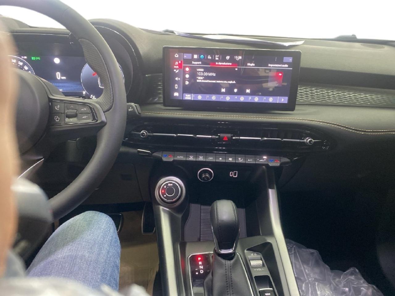 Alfa Romeo Alfa Romeo Tonale usata 2