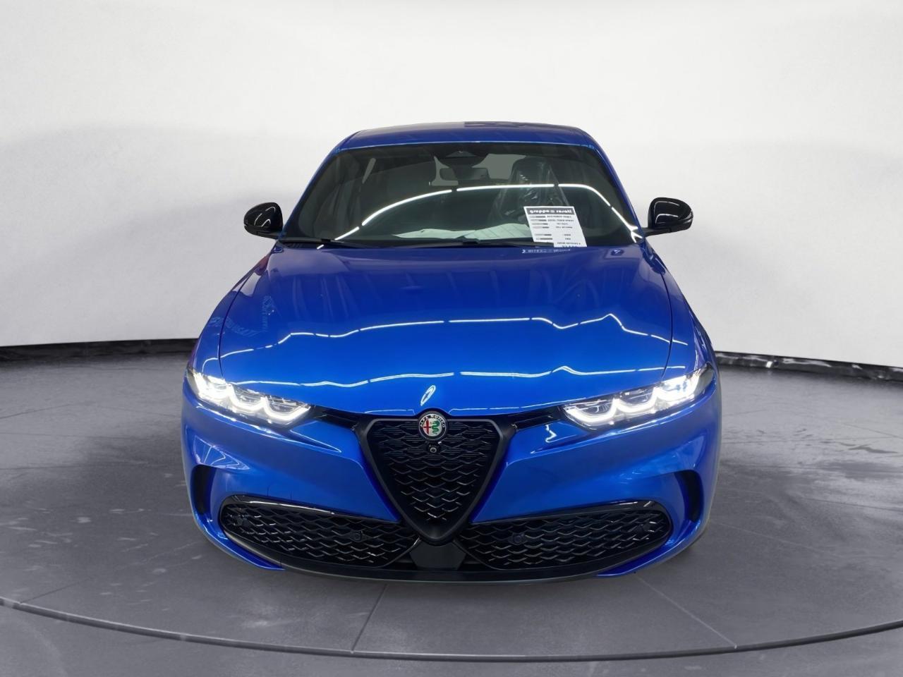 Alfa Romeo Alfa Romeo Tonale usata 11