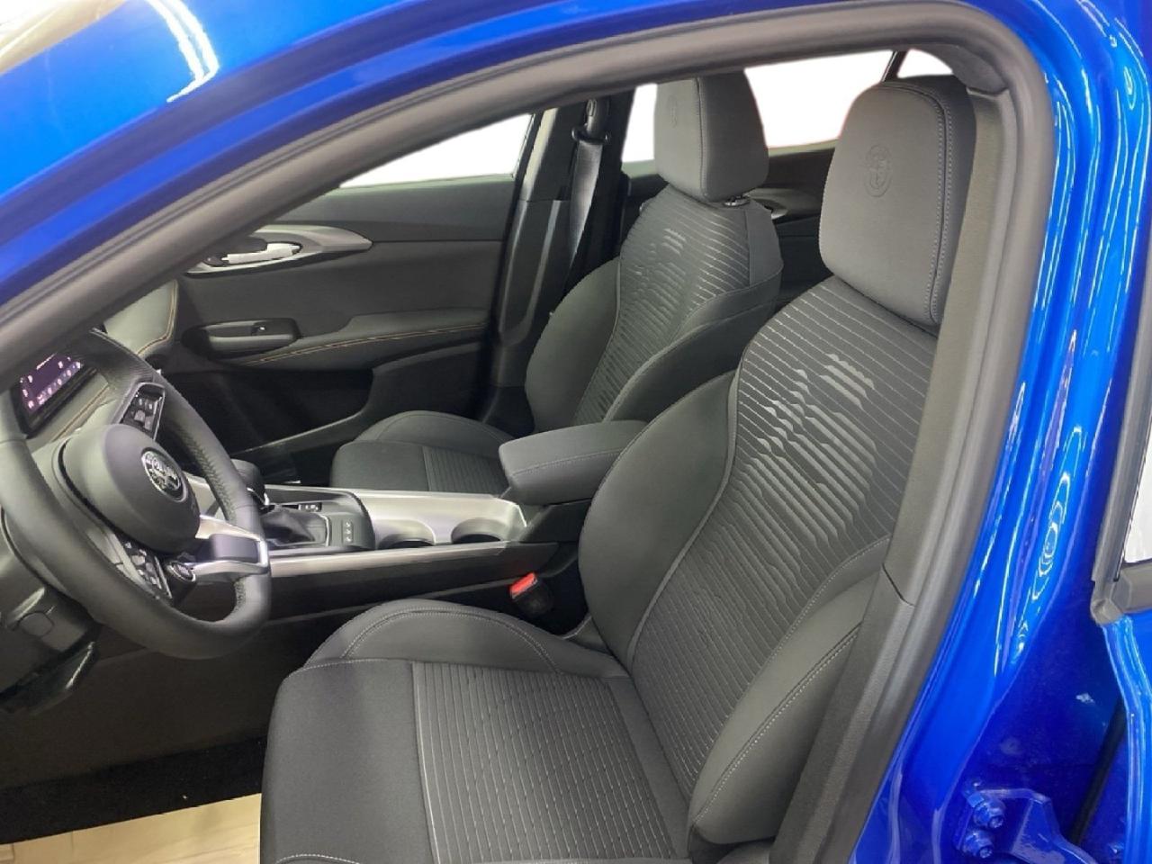 Alfa Romeo Alfa Romeo Tonale usata 13