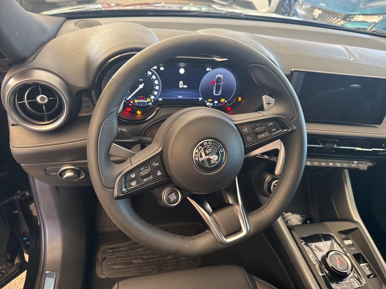 Alfa Romeo Alfa Romeo Tonale usata 1