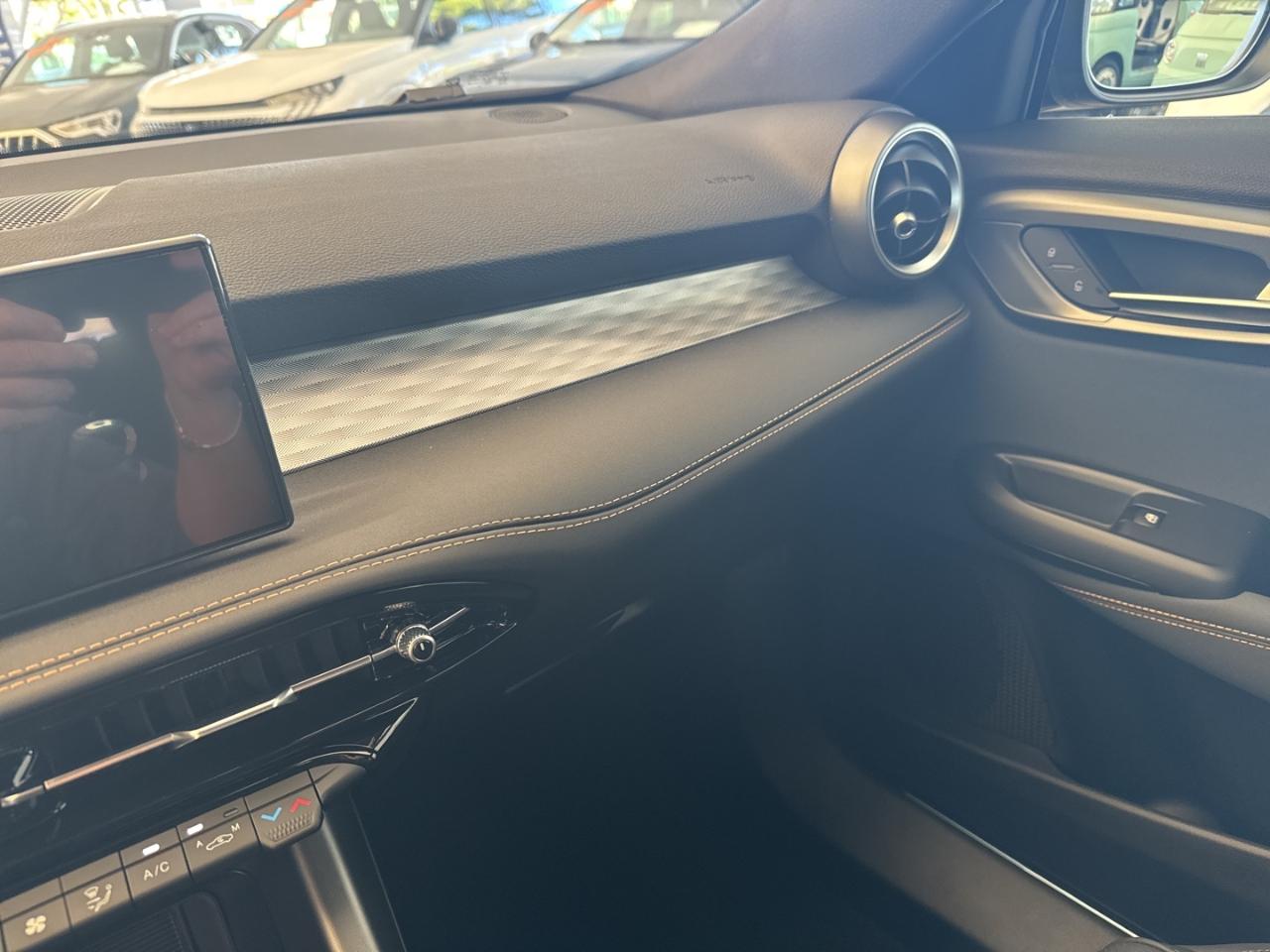 Alfa Romeo Alfa Romeo Tonale usata 10