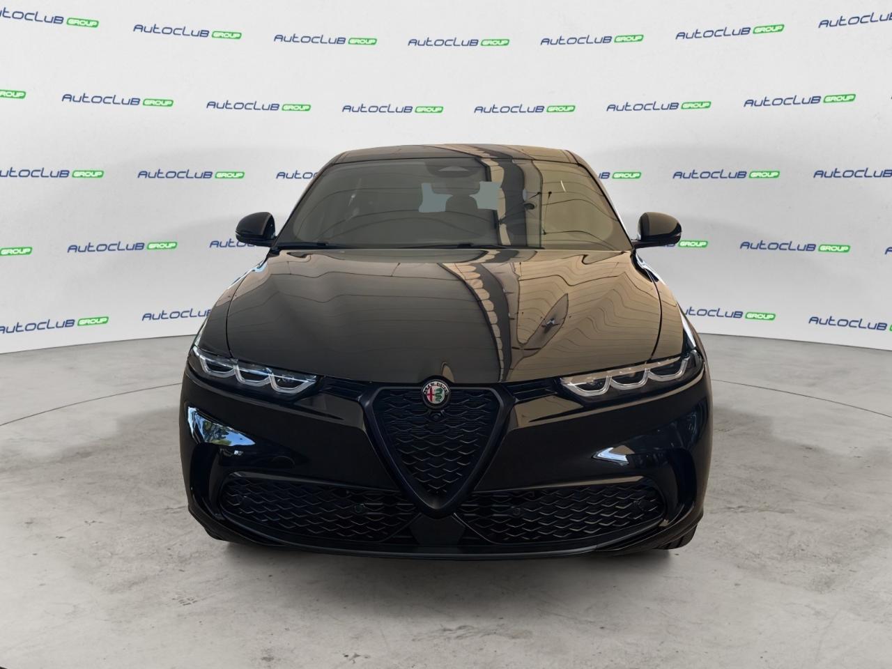 Alfa Romeo Alfa Romeo Tonale usata 11