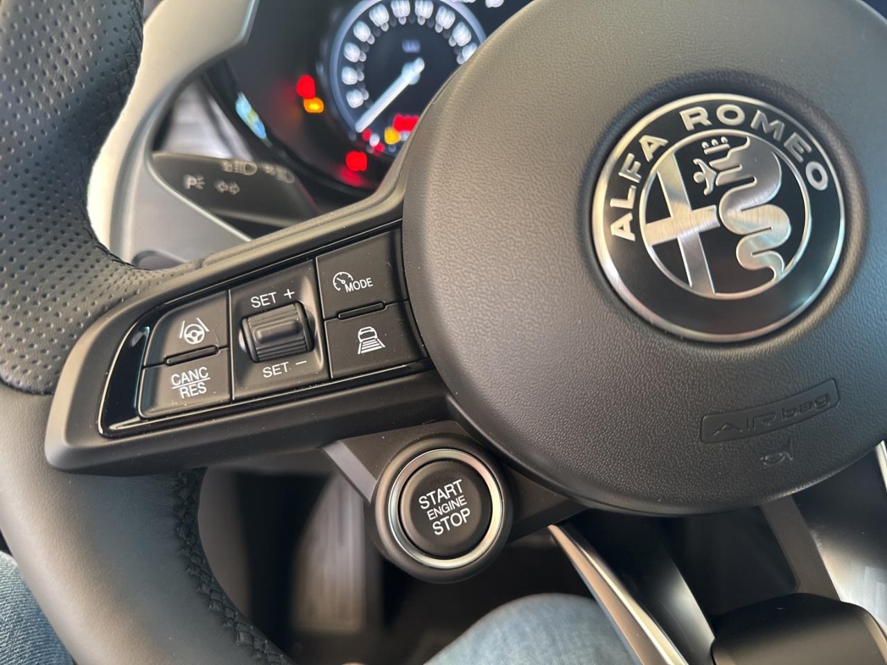 Alfa Romeo Alfa Romeo Tonale usata 12