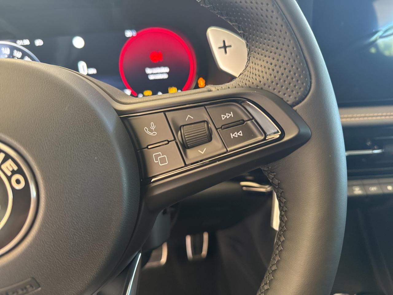 Alfa Romeo Alfa Romeo Tonale usata 13