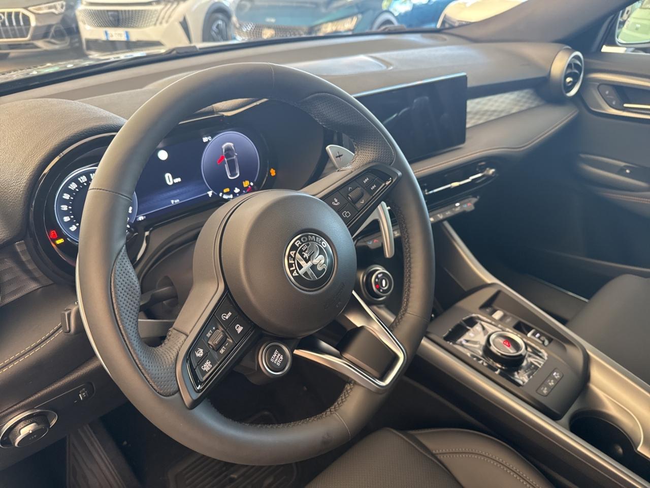 Alfa Romeo Alfa Romeo Tonale usata 23