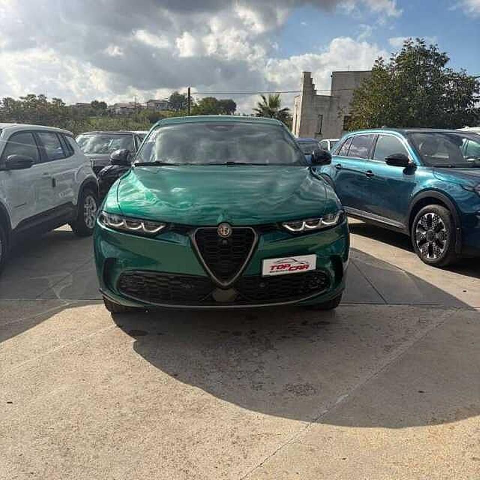 Alfa Romeo Alfa Romeo Tonale usata 11