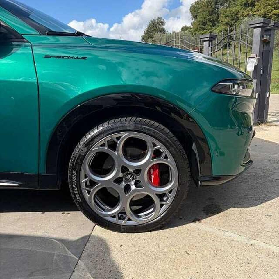 Alfa Romeo Alfa Romeo Tonale usata 12