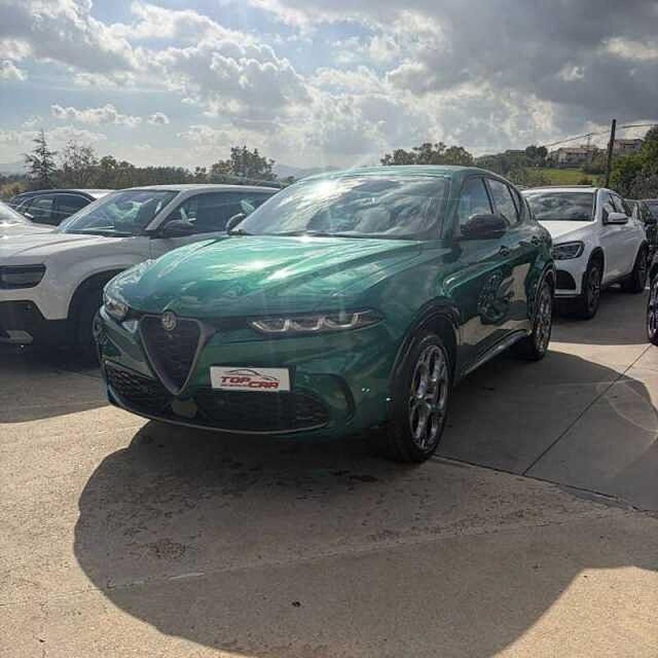 Alfa Romeo Alfa Romeo Tonale usata 14