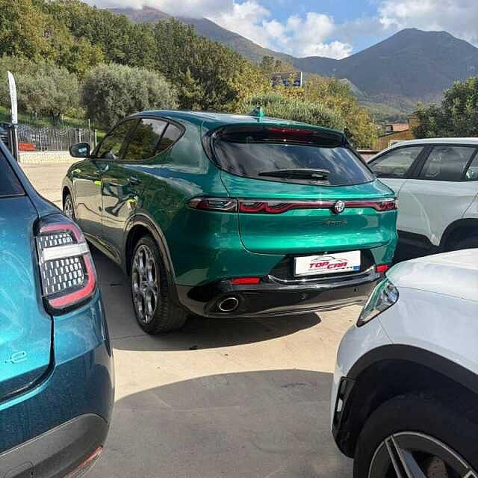 Alfa Romeo Alfa Romeo Tonale usata 15