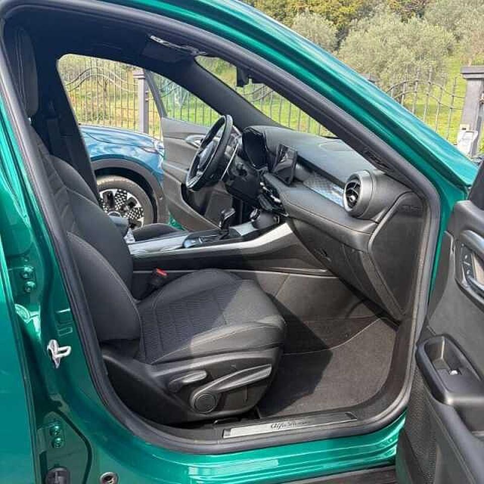 Alfa Romeo Alfa Romeo Tonale usata 20