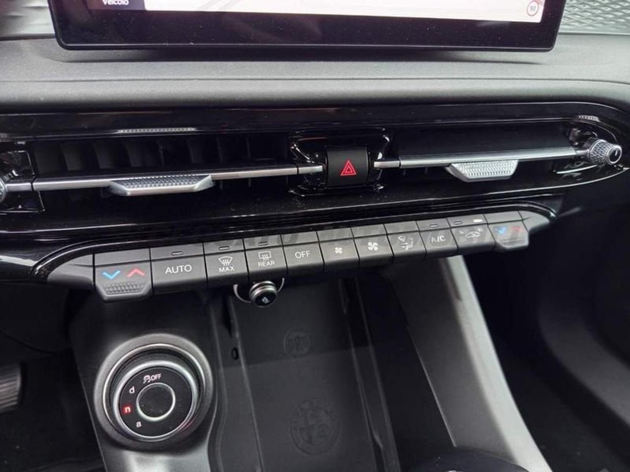 Alfa Romeo Alfa Romeo Tonale usata 1