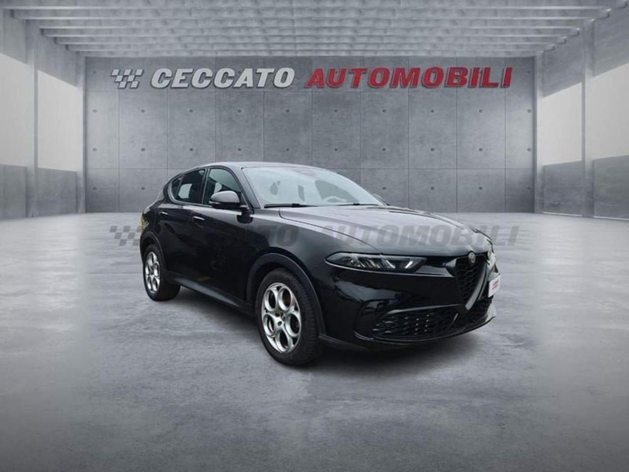 Alfa Romeo Alfa Romeo Tonale usata 7