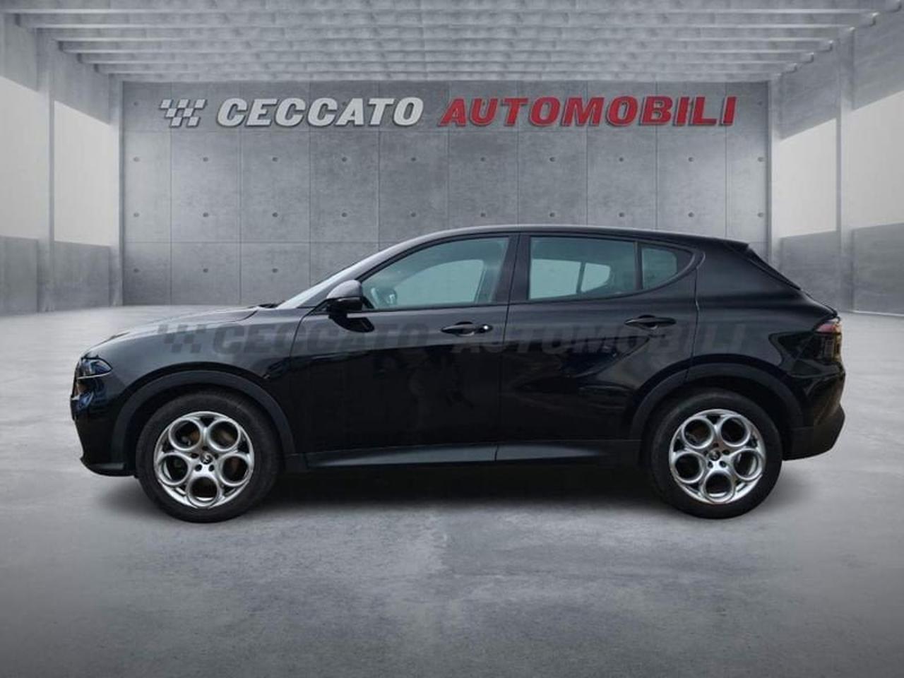 Alfa Romeo Alfa Romeo Tonale usata 11