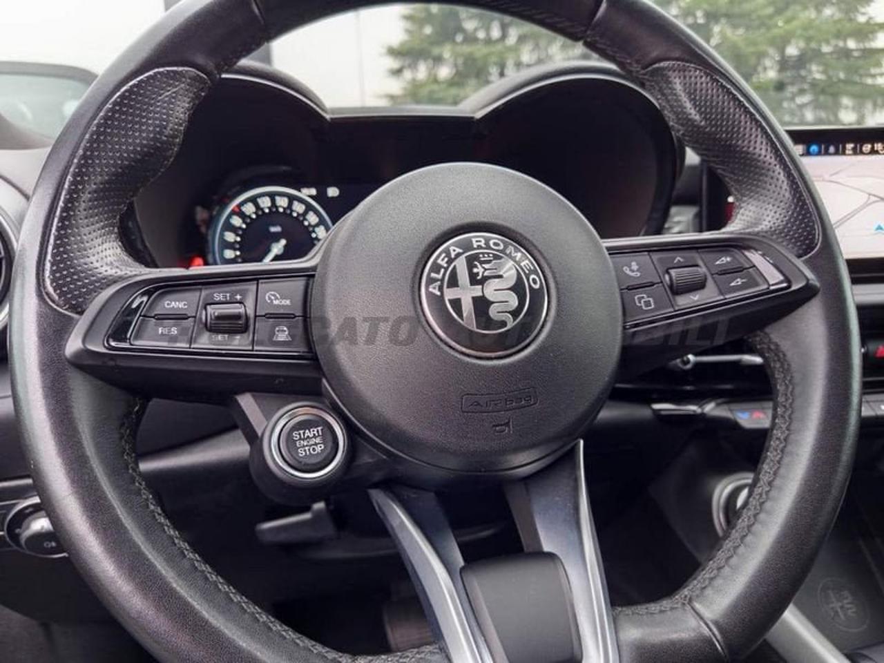 Alfa Romeo Alfa Romeo Tonale usata 15
