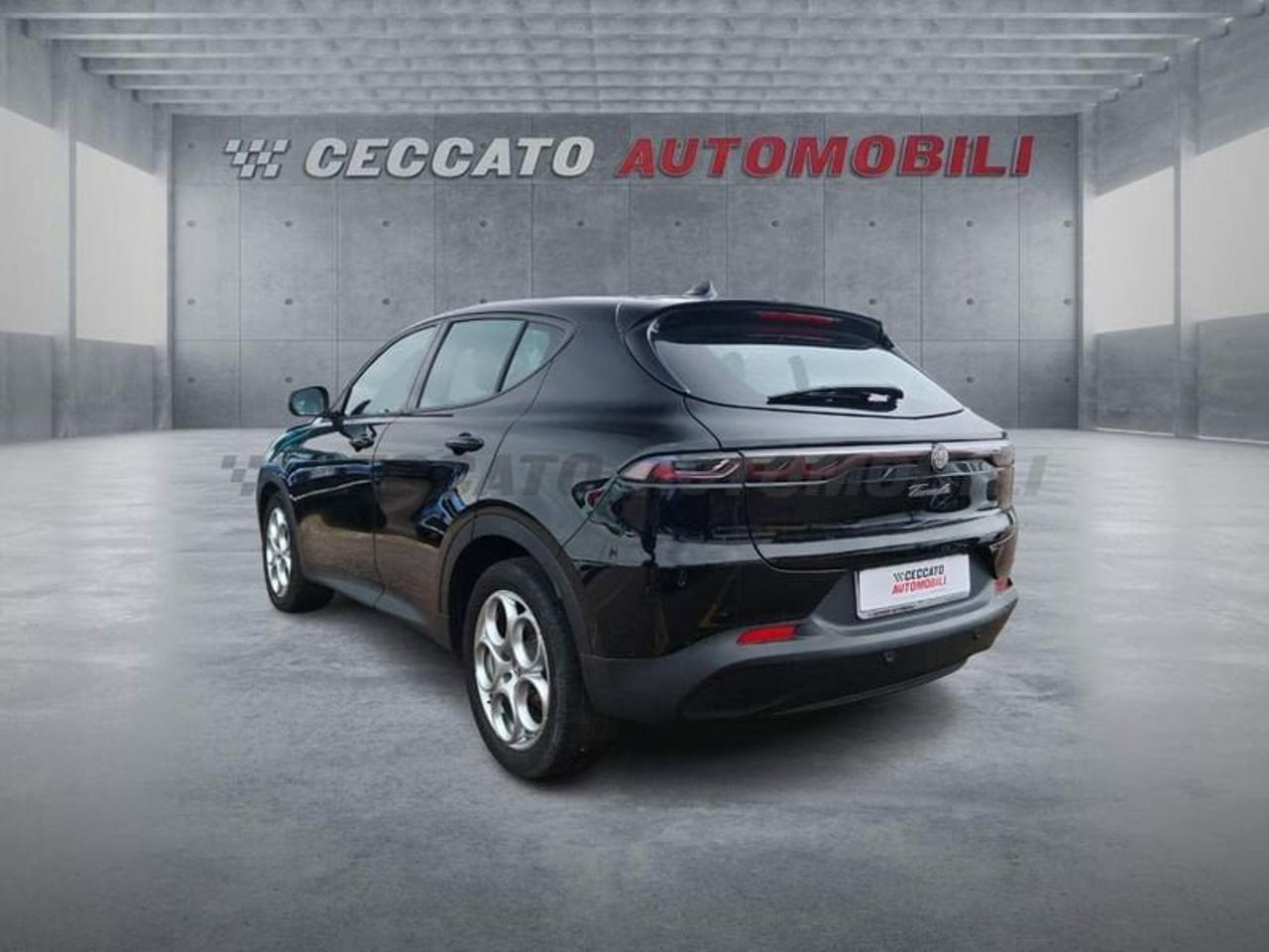 Alfa Romeo Alfa Romeo Tonale usata 17