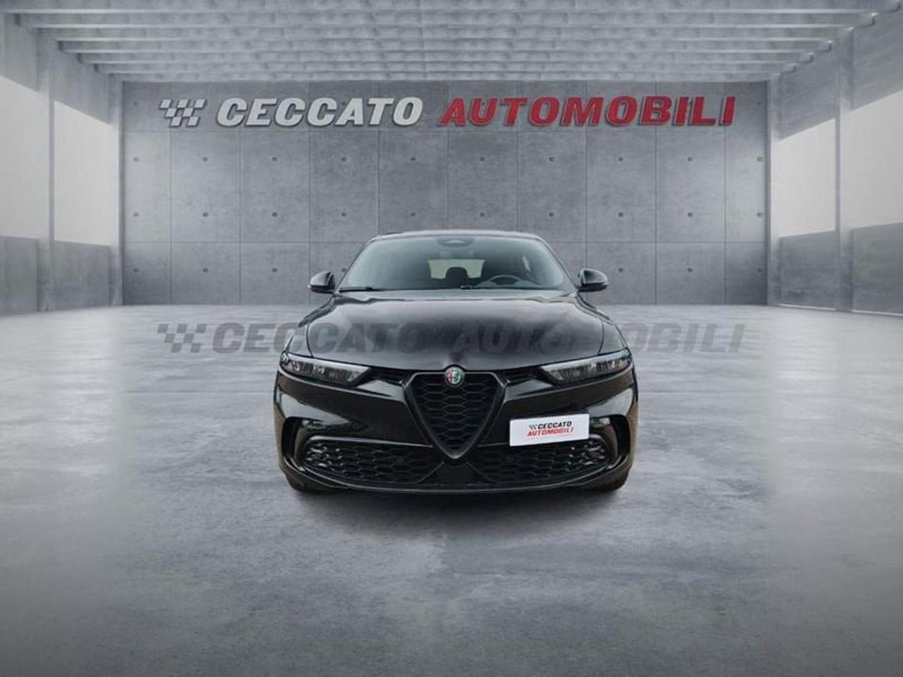 Alfa Romeo Alfa Romeo Tonale usata 18