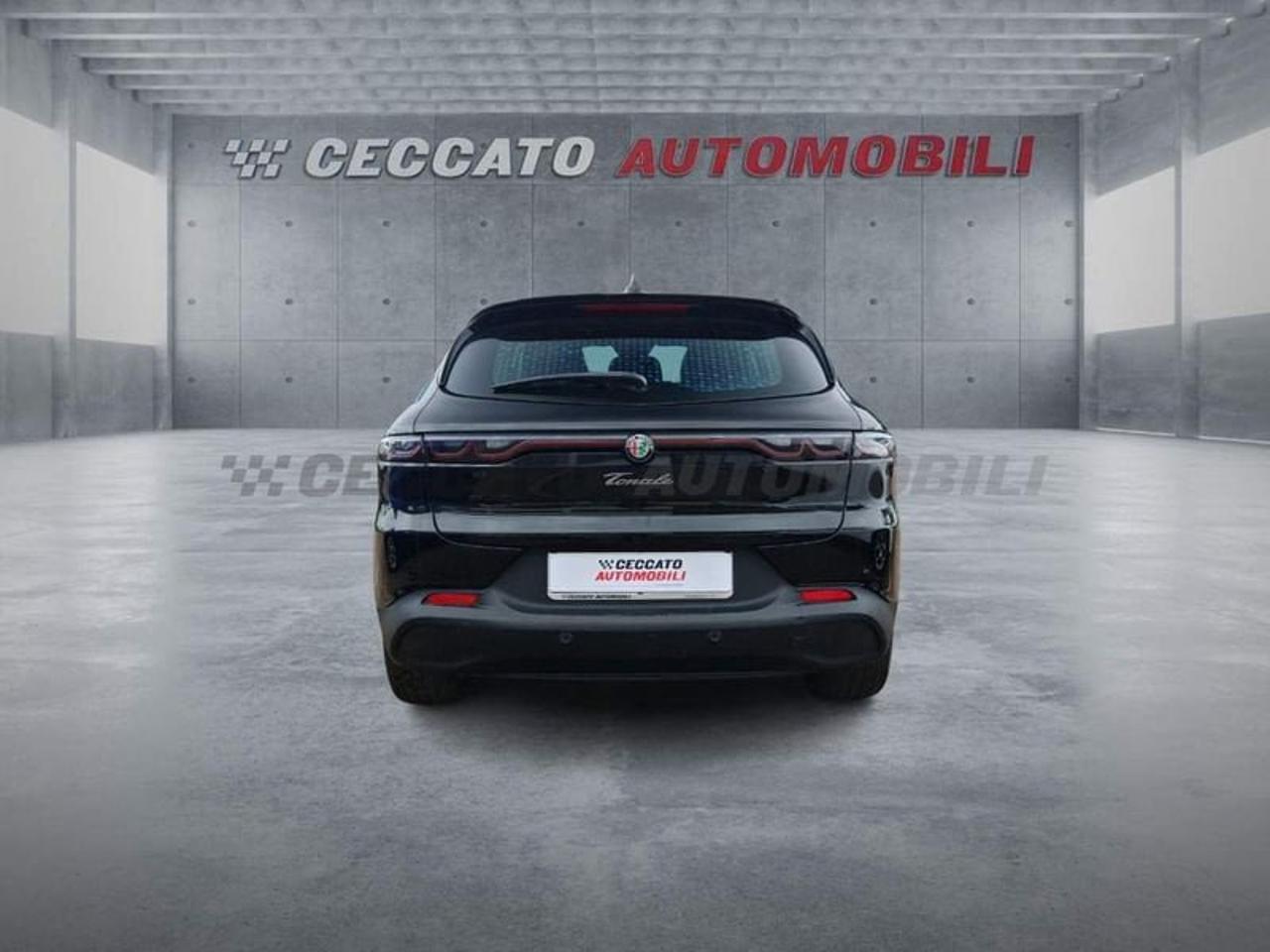 Alfa Romeo Alfa Romeo Tonale usata 19