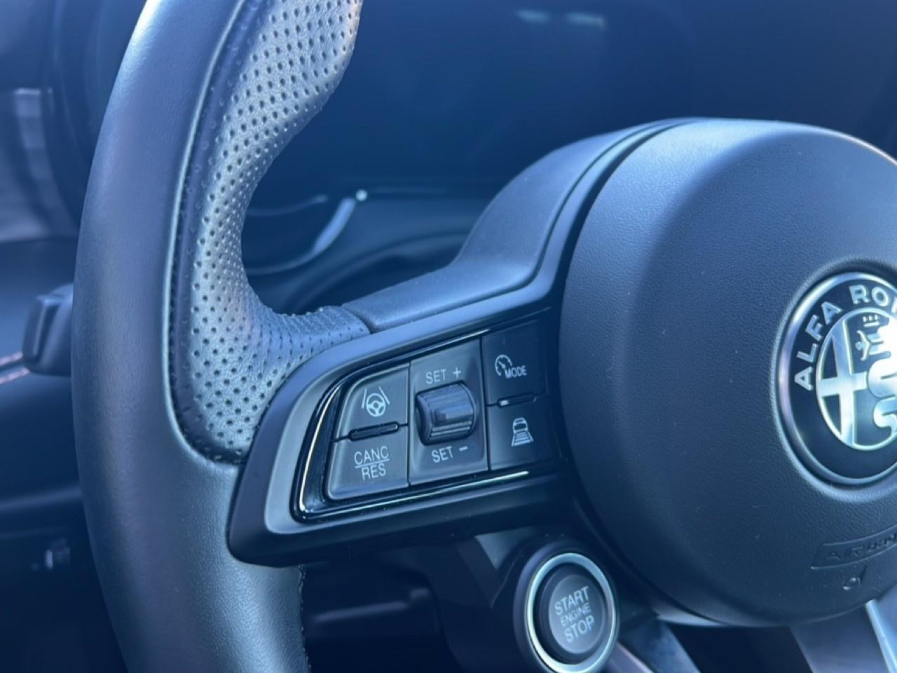 Alfa Romeo Alfa Romeo Tonale usata 12