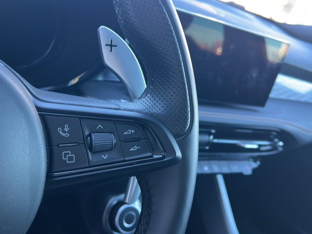 Alfa Romeo Alfa Romeo Tonale usata 13