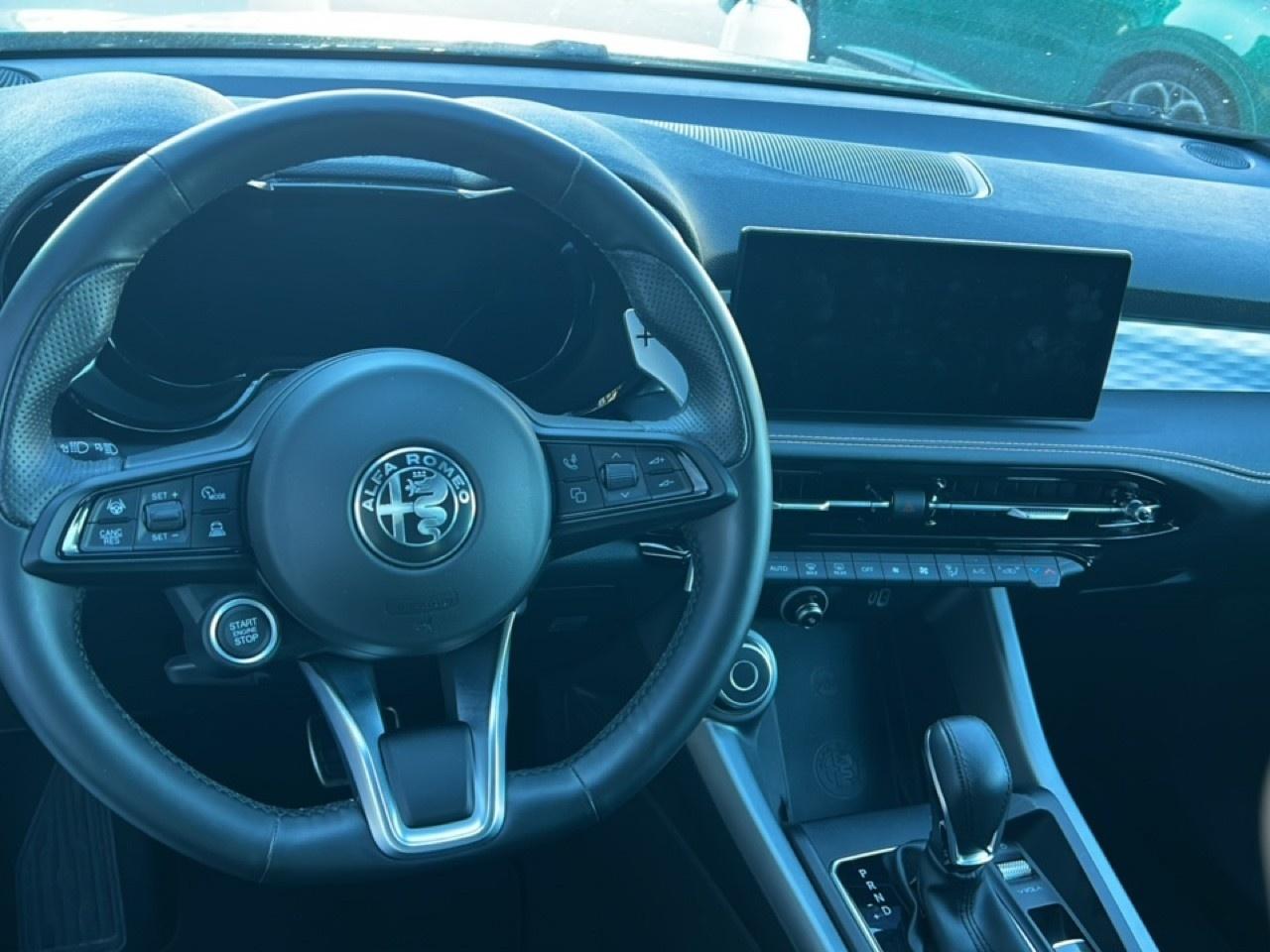 Alfa Romeo Alfa Romeo Tonale usata 20